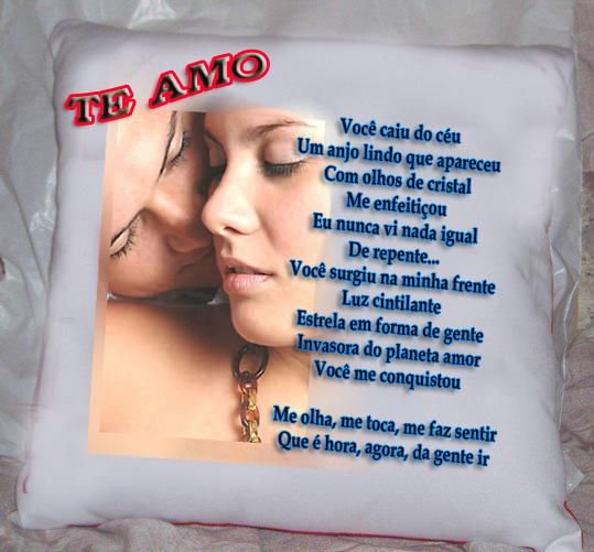 almofada personalizada 30/20